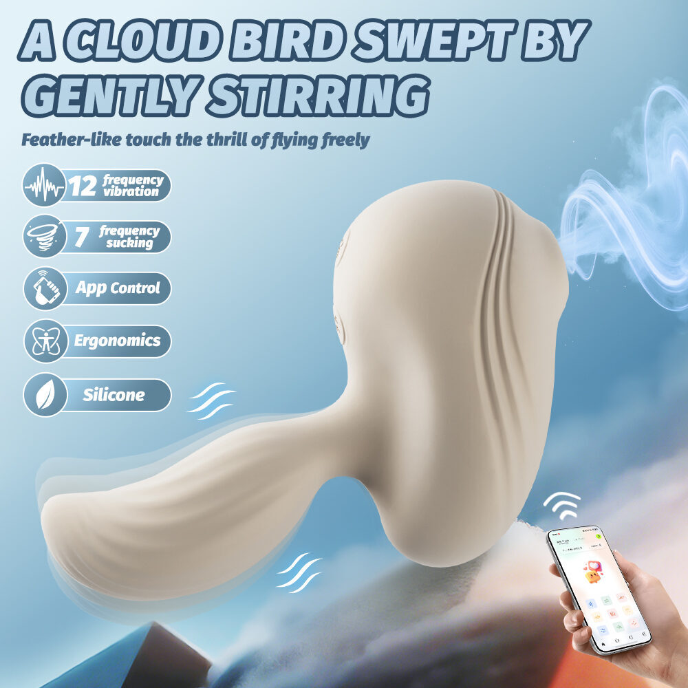 Cloud Bird